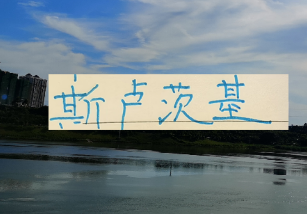 半岛体育在线-不怕盖伊不进球 ！ 就怕这哥们在申花发飙！进塞内加尔国家队
