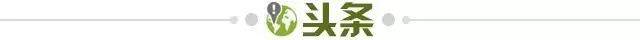 半岛体育官网-【早报】赛季双杀！AC米兰笑傲同城德比